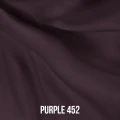 PURPLE 452.jpg