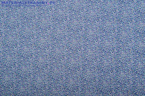 81B_4551.jpg