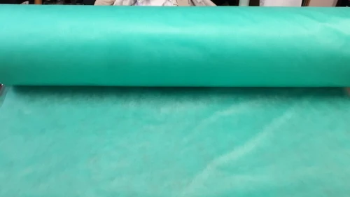 Fzielina zielona.jpeg