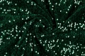 81A_1066.jpg