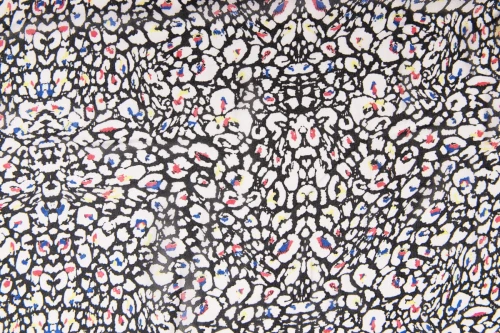 81B_1294.jpg