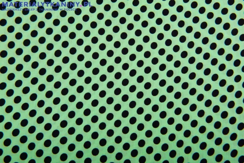 81B_4545.jpg