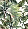 2201906 - 51_liscie tropikalne malowane - AdobeStock_271556791x.jpg