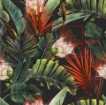 2300367 - 49_AdobeStock_332176946x.jpg