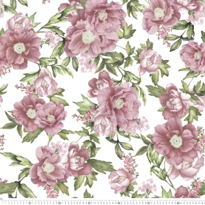 Stretch różowe kwiaty na białym tle