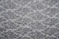 DSC04908x.jpg