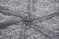 DSC04919x.jpg