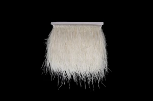 Strusie pióra na taśmie ecru