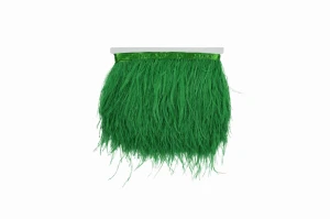 Strusie pióra na taśmie zielony