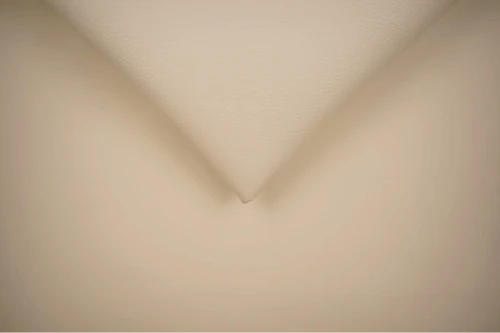 Cayenne 1124 Biscuit.jpg