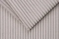 Zoom 19 Dove.jpg