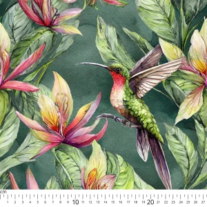 Oxford wzór tropikalny koliber