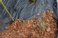 AdobeStock_575054188x.jpg