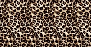 Oxford wzór panterka 