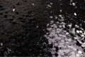 DSC04156.JPG