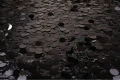 DSC04159.JPG