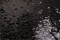 DSC04161.JPG