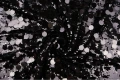 DSC04164.JPG