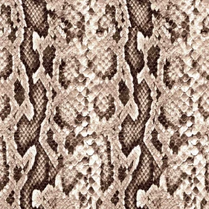  Oxford wzór skóra węża