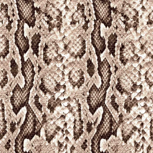 2600588 - 1500x1500.jpg