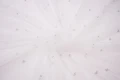 DSC08719 1200px.JPG