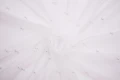 DSC08726 1200px.JPG
