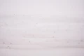 DSC08736 1200px.JPG