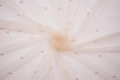 DSC08819 1200px.JPG