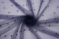 DSC09140 1200px.JPG