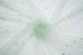 DSC09163 1200px.JPG