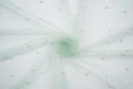 DSC09172 1200px.JPG