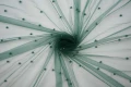 DSC08614 1200px.JPG