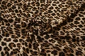 DSC00943 1200pxX.jpg