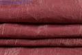 60A_0537.jpg